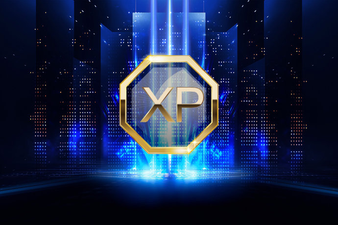 XP獲得 / ランクアップ