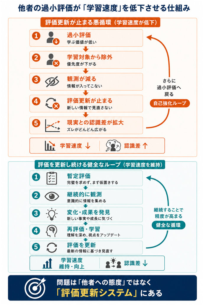 他者の過小評価が「学習速度」を低下させる仕組み